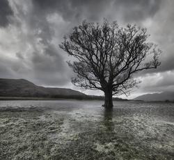 The Lakes in December