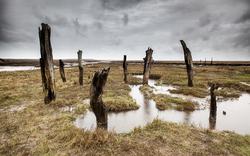 Norfolk in the Rain