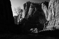 Zion National Park